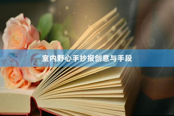 室内野心手抄报创意与手段